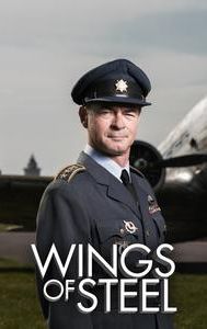 Wings of Steel