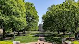 Dismantling, detainments scuttle protest at Carolina's Polk Place Quad