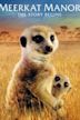 Meerkat Manor: The Story Begins