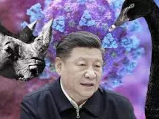 Why did Chinese President Xi Jinping ask to be ready for “black swan” and “gray rhino”? Is Beijing heading toward crisis?