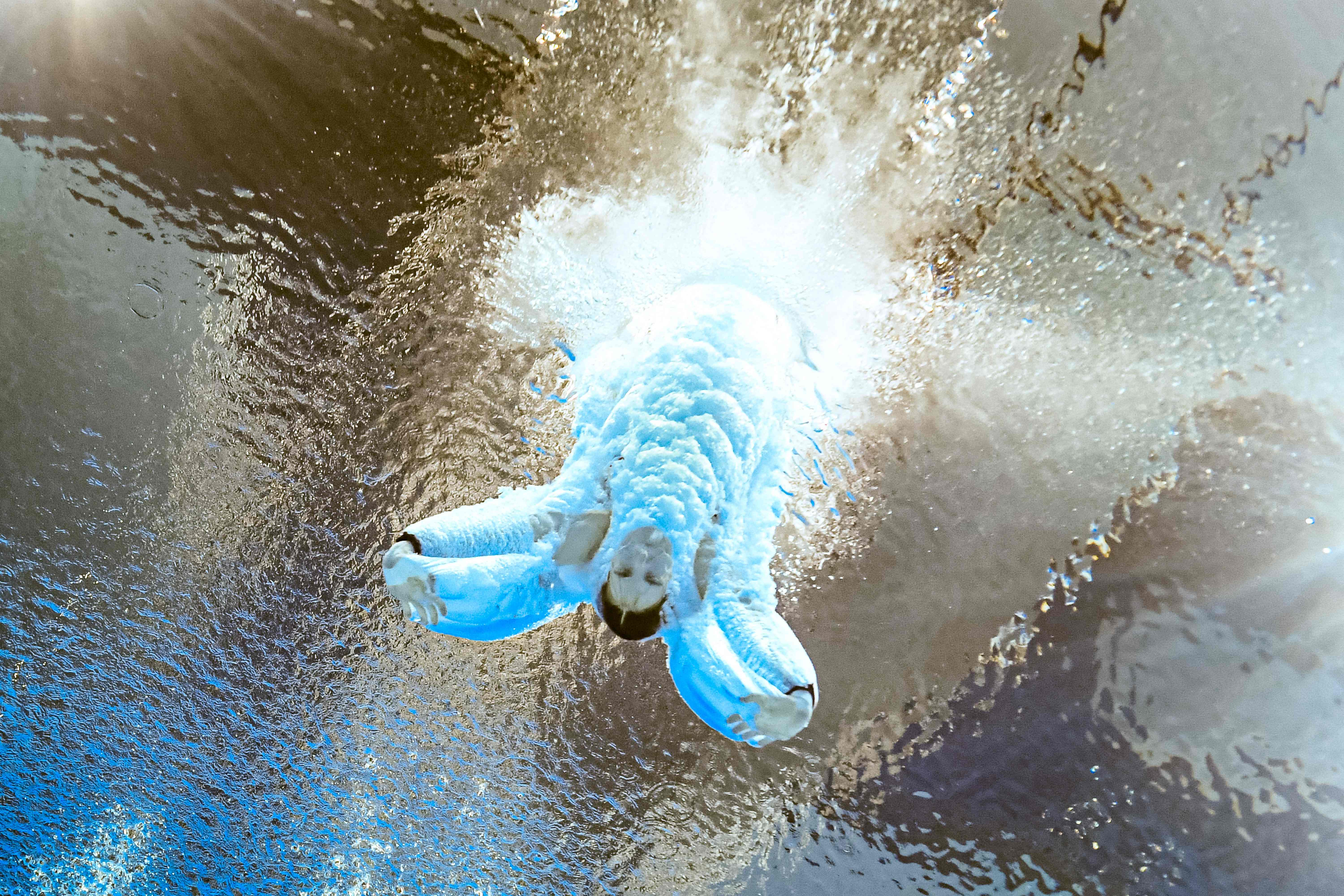 Why is water sprayed onto the Olympic pool during high diving? Safety measure, explained