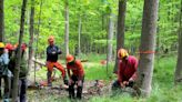 Game Of Logging Chainsaw Safety Course Held In County