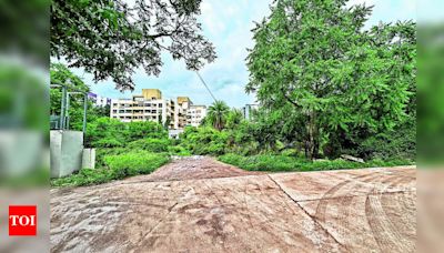 Bombay High Court Directs PMC to Expedite Baner-Pashan Link Road Construction | Pune News - Times of India