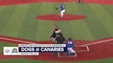 Canaries lose in extra innings to Chicago in rain-delayed game at Birdcage