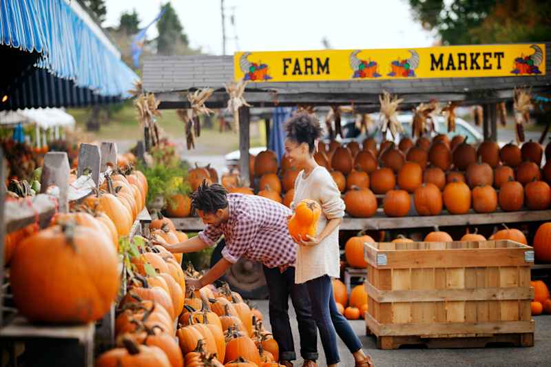 21 Cute and Cozy Fall Dates You Need to Go on This Weekend