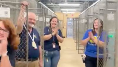 After Months of Overcrowding, Fla. Shelter Celebrates 'Completely Empty' Cages from Adoption Event