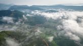 Brasil y Colombia frenan deforestación en contra de tendencia mundial