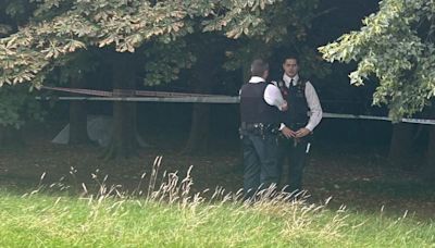 Organs found in container in London park