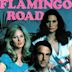 Flamingo Road