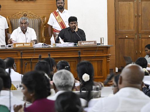 Coimbatore Corporation council passes 333 resolutions; sterilisation of stray dogs, Vellalore fire top discussions