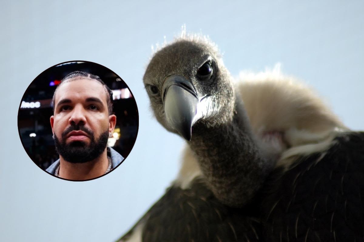 The Debate Over Whether Drake is a Culture Vulture or Not Soars Amid New Beef