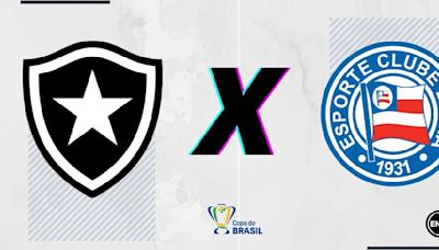 Botafogo x Bahia: prováveis escalações, arbitragem, onde assistir, retrospecto e palpites