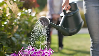 Warning to avoid the garden for these three hours every day in July and August