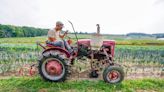 Want to be an organic vegetable farmer? This Wisconsin program is growing the workforce