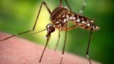 Rapid City Parks go on the offensive against mosquitoes