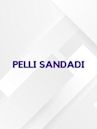 Pelli Sandadi