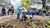 ‘Hace mucho calor y queremos un espacio verde para nuestras familias’: con 160 especies empezó la siembra del primer bosque urbano nativo de Guayaquil