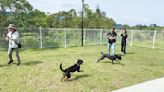 暖暖寵物公園開幕 毛孩樂到翻肚