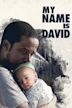 My Name Is David