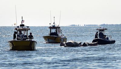 Search for bodies of two men in Old Saybrook boat crash enters 5th day