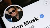 Elon Musk, Twitter and the Social-Media Double Bind