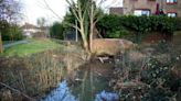 Chaos and stress after major flood in Reading as dozens of properties were impacted