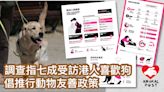 調查指七成受訪港人愛狗 大部分倡推行動物友善政策