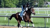 Fierceness, Mindframe 'Likely' for Haskell Stakes