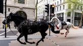 Three horses that got loose and bolted through central London to feature in Trooping the Colour