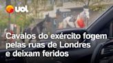 Cavalos do exército fogem pelas ruas de Londres e deixam feridos; vídeo flagra fuga