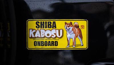 Muere Kabosu, ícono de la criptomoneda Dogecoin,