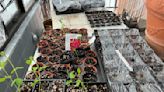 Planting a garden from seed is easy and can start now