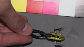 Unlocking The Mystery Of Why Poison Frogs Don’t Poison Themselves?