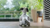 Sony creates Battersea Dog's Home-style adoption scheme for old Aibo dogs