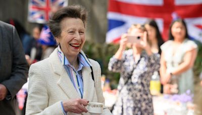 Princess Anne in hospital with concussion after ‘being kicked by horse’