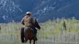 Dead cattle and high blood pressure: Wolf depredation takes toll on Colorado ranchers
