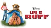 Life Is Ruff: Where to Watch & Stream Online