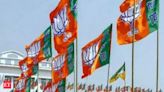 BJP names state in charges, presidents - The Economic Times