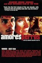 Amores Perros