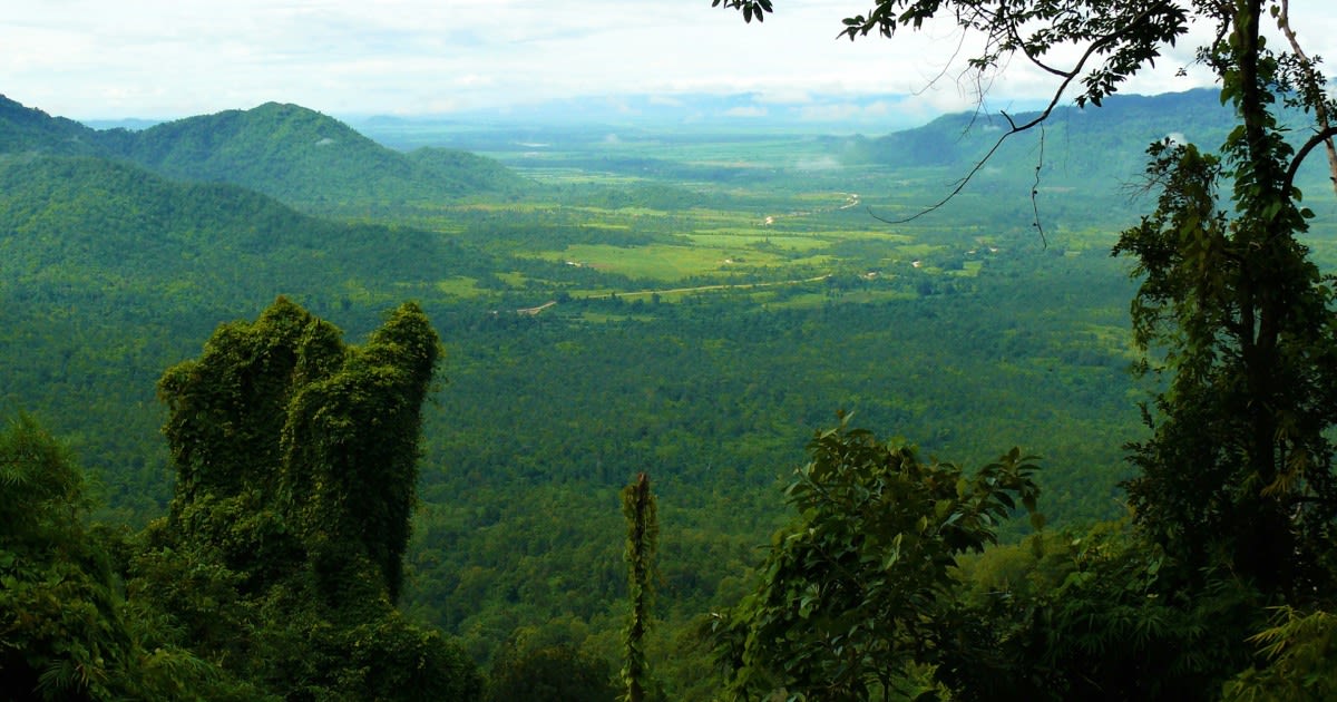 No survivors seen as Cambodian helicopter spotted crashed on mountain 17 days after being lost