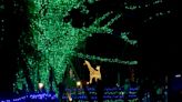Zoo Lights at Palm Beach Zoo in West Palm Beach are better than Artemis 1