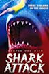 Shark Attack (film)