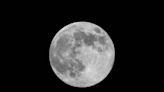 “Sueño realizado”: son jóvenes, viven en Chubut y gracias a una ingeniosa app para mostrar los sismos lunares llegarán a la NASA