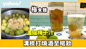 梅食譜│唔洗等即製濃縮梅子汁 溝梳打燒酒至啱飲