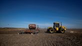 Siembra de trigo en Argentina avanza con rapidez gracias a clima seco: Bolsa Cereales