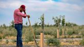 As California seeks to curb groundwater declines, farmers in one county fight back in court