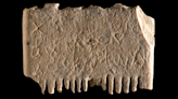 The Oldest Known Sentence in the First Alphabet Is Written on an Ancient Lice Comb