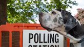 Dogs at polling stations return for 2024 general election voting day