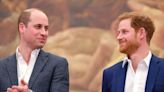 Harry rift a 'shame' for William as he's 'only one' who knows what it was like