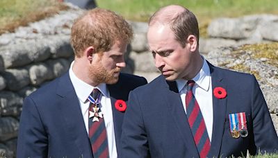 Prince William 'disgruntled' over Prince Harry's $8.5M inheritance payday on 40th birthday: expert